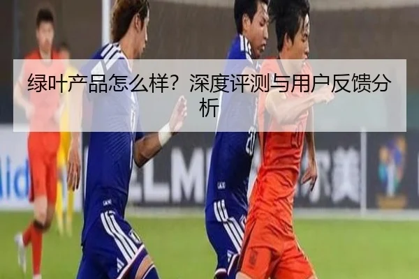 绿叶产品怎么样？深度评测与用户反馈分析