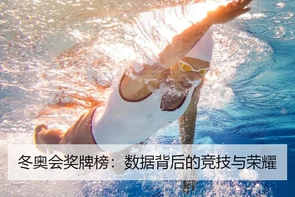 冬奥会奖牌榜：数据背后的竞技与荣耀